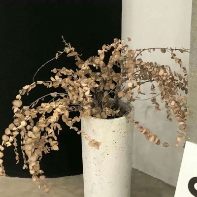 格尔木福瑞交流群